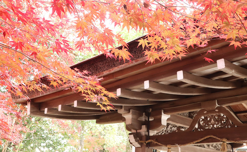 お寺と紅葉